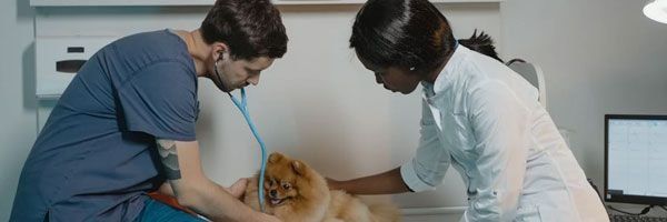 Clinica Médica
